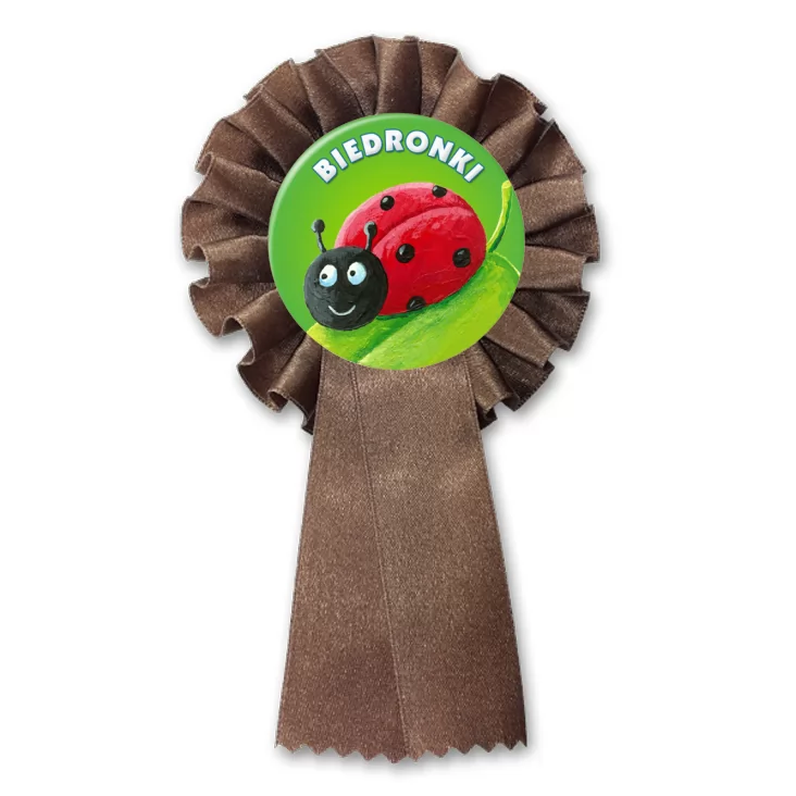 przypinka kotylion Biedronki