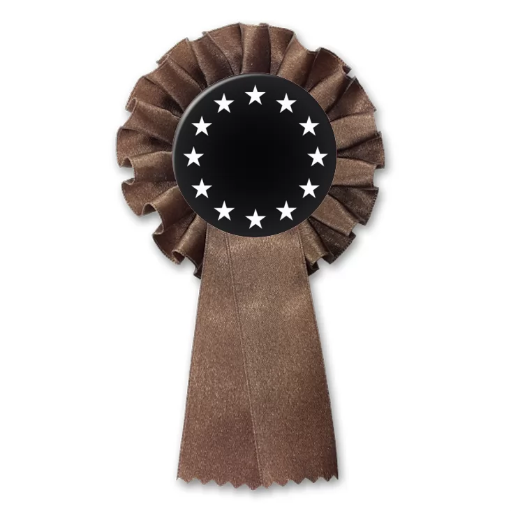 przypinka kotylion Unia Europejska czb