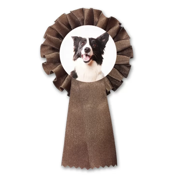 przypinka kotylion Pies Bordercollie
