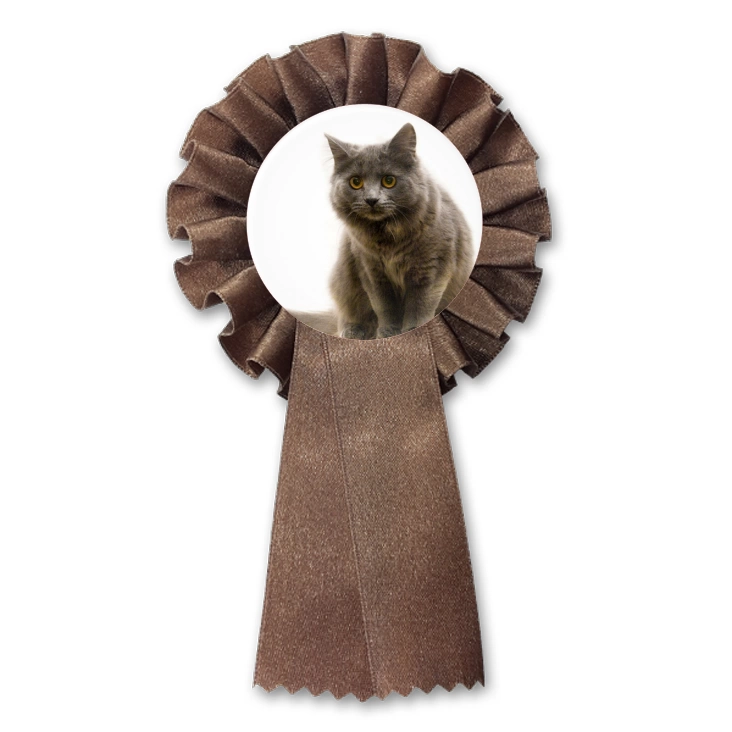 przypinka kotylion Kot