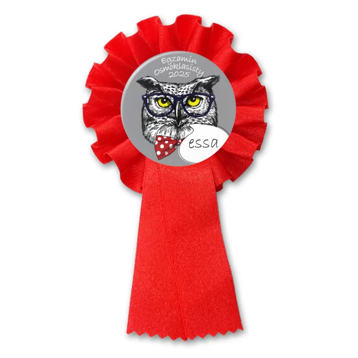 przypinka kotylion Egzamin Ósmoklasisty sowa essa
