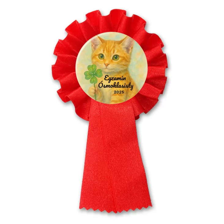 przypinka kotylion Egzamin ósmoklasisty z rudym kotem