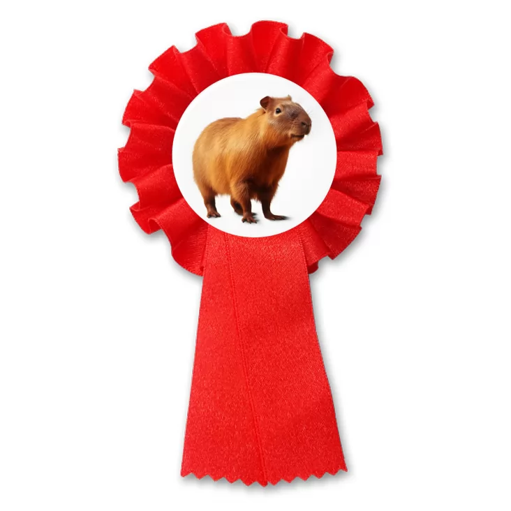 przypinka kotylion Kapibara na białym tle