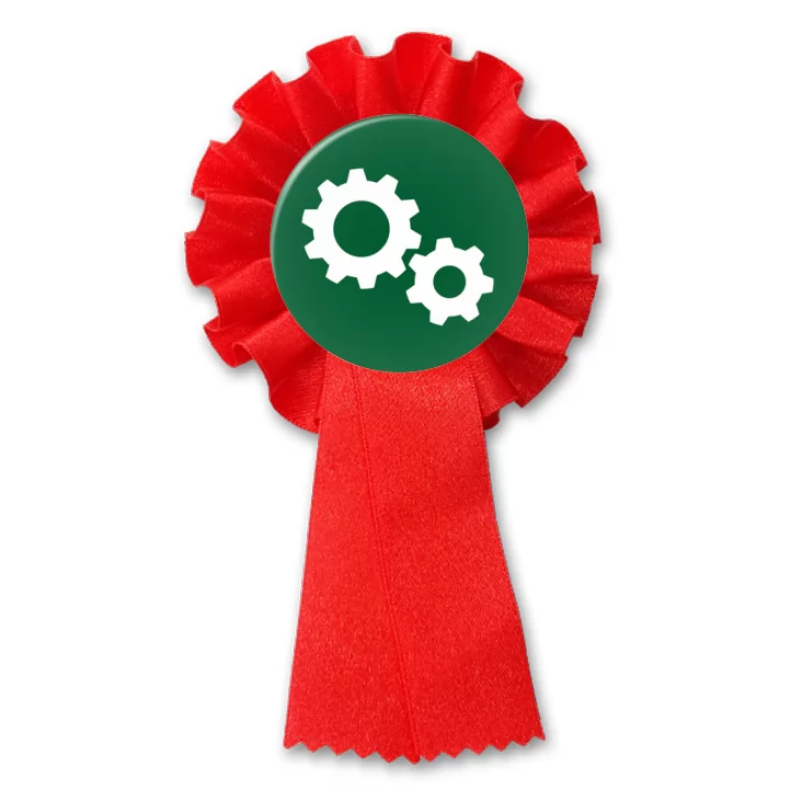 przypinka kotylion Sprawność konstruktor