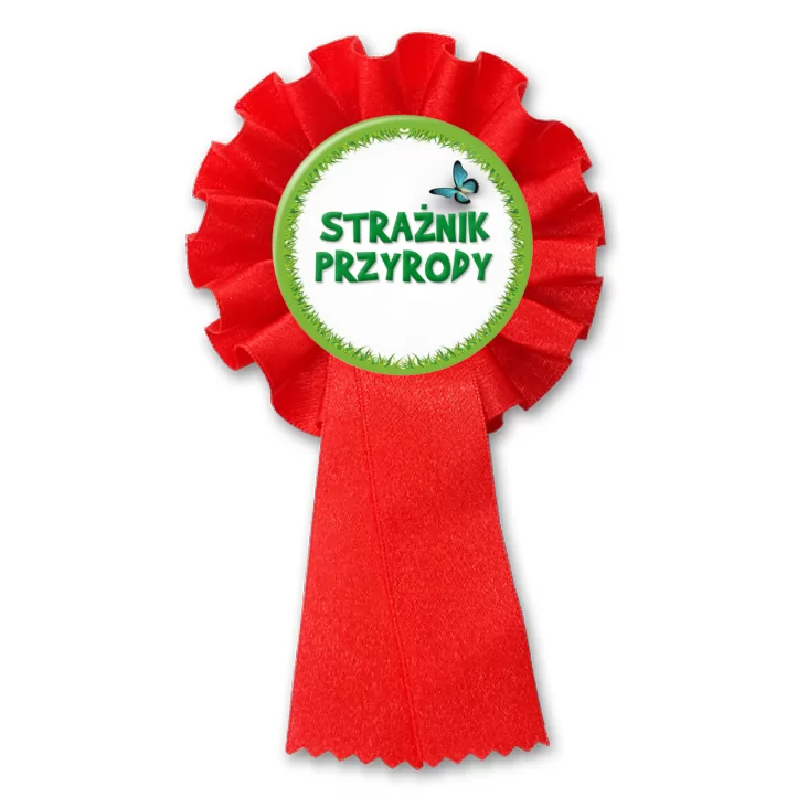 przypinka kotylion Strażnik Przyrody trawa z motylem