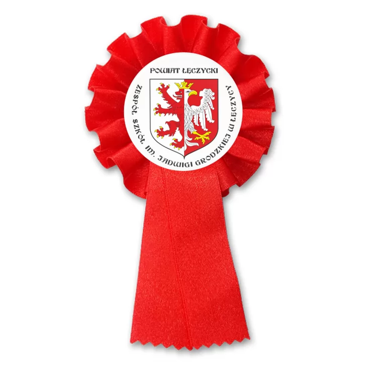 przypinka kotylion Zespół Szkół w Łęczycy