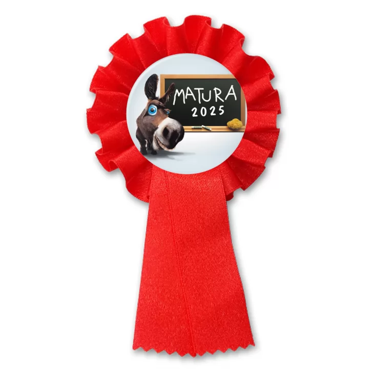 przypinka kotylion Matura osioł przy tablicy