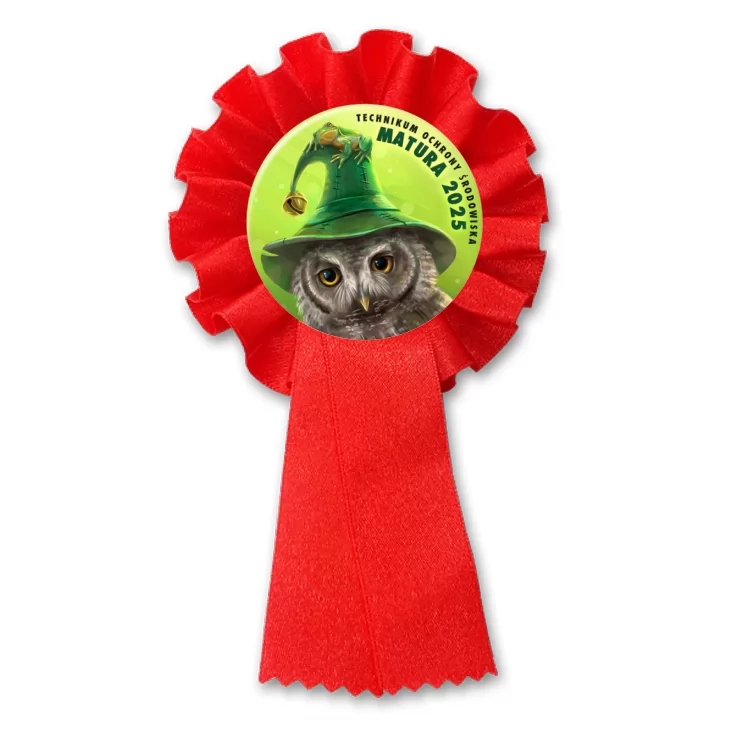 przypinka kotylion Matura sowa w zielonym kapeluszu