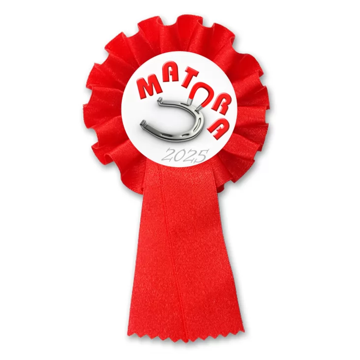 przypinka kotylion Matura podkowa na szczęście