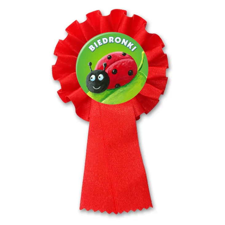 przypinka kotylion Biedronki