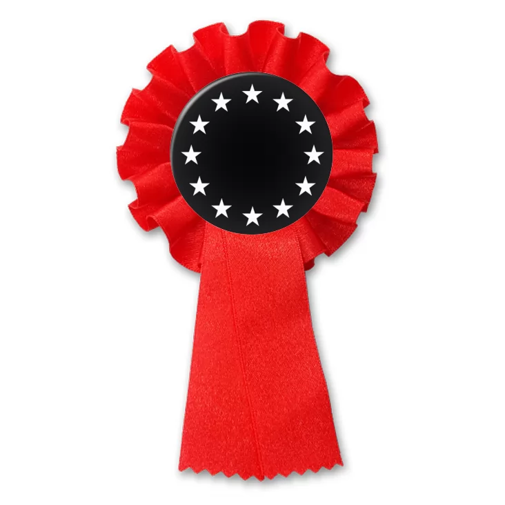 przypinka kotylion Unia Europejska czb