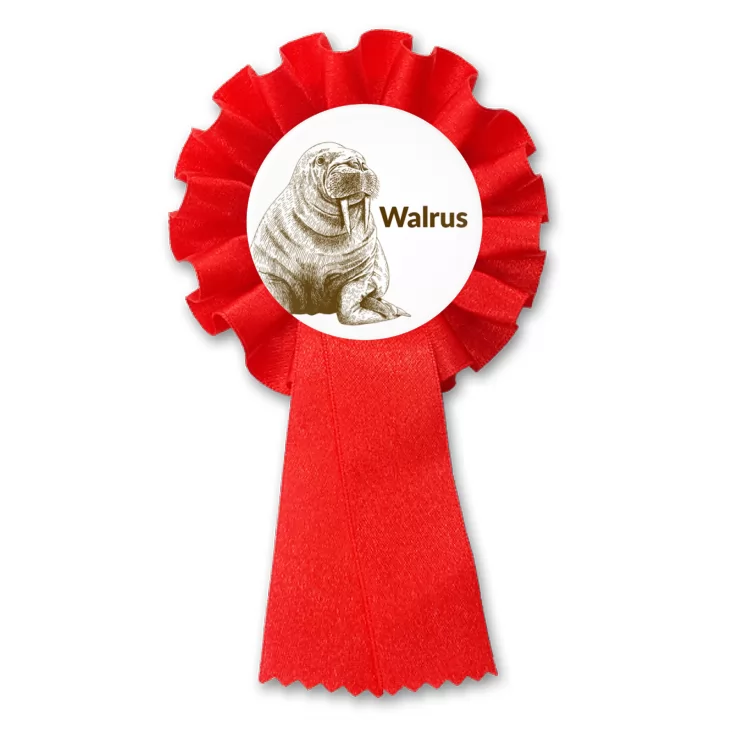 przypinka kotylion Walrus