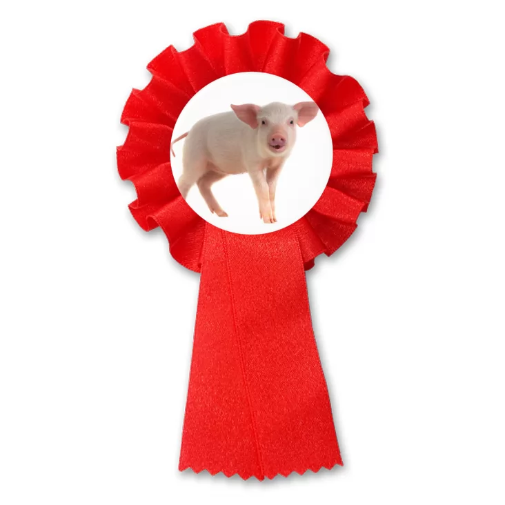 przypinka kotylion Prosiak
