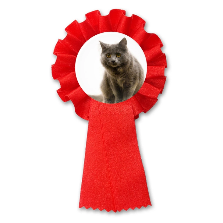 przypinka kotylion Kot