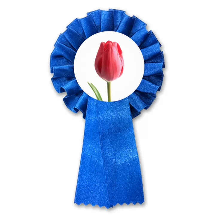 przypinka kotylion Tulipan