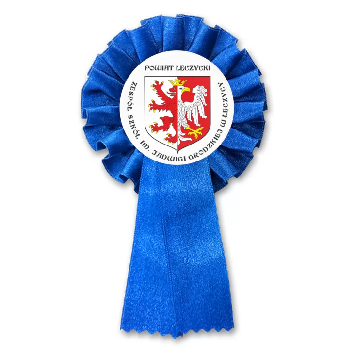 przypinka kotylion Zespół Szkół w Łęczycy
