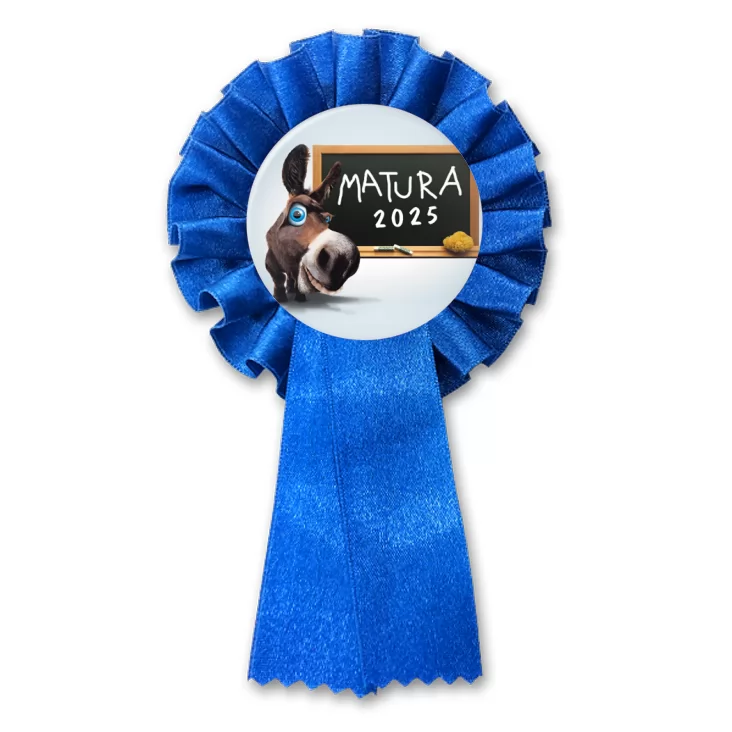 przypinka kotylion Matura osioł przy tablicy