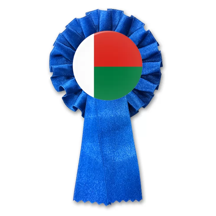 przypinka kotylion malagasy