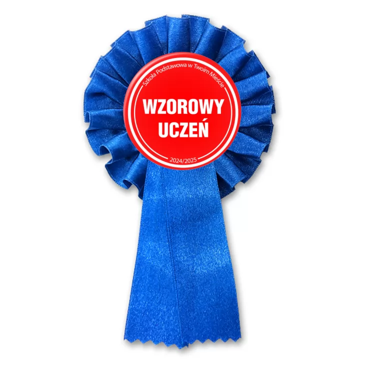 przypinka kotylion Wzorowy Uczeń Odznaka