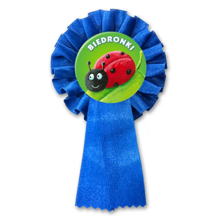 przypinka kotylion Biedronki