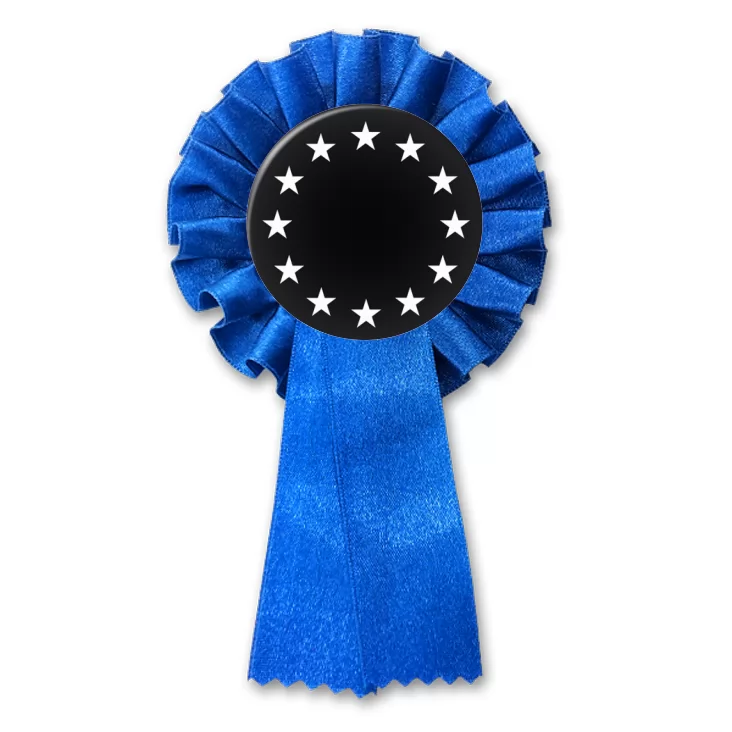 przypinka kotylion Unia Europejska czb