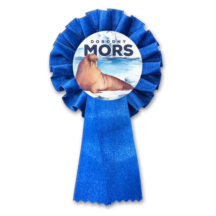 przypinka kotylion Dorodny mors