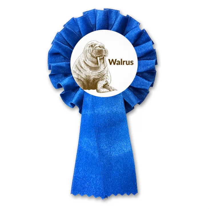 przypinka kotylion Walrus