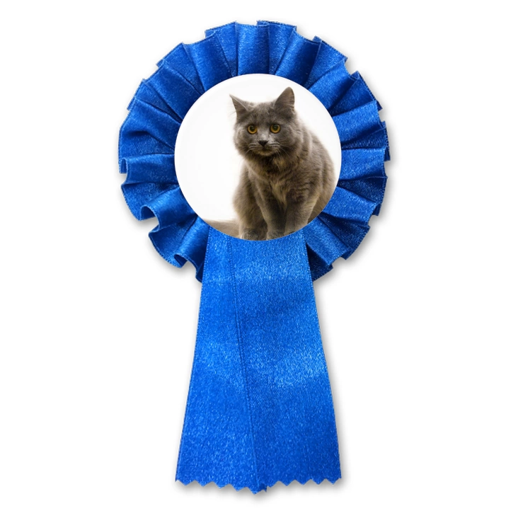 przypinka kotylion Kot