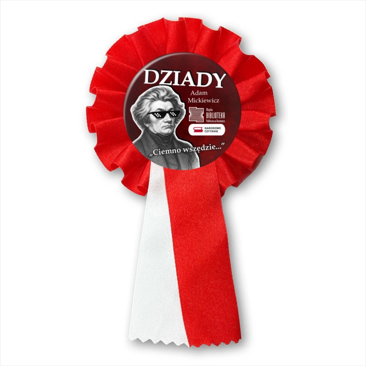 przypinka kotylion Narodowe Czytanie Bibliotek Publiczna w Sosnowcu