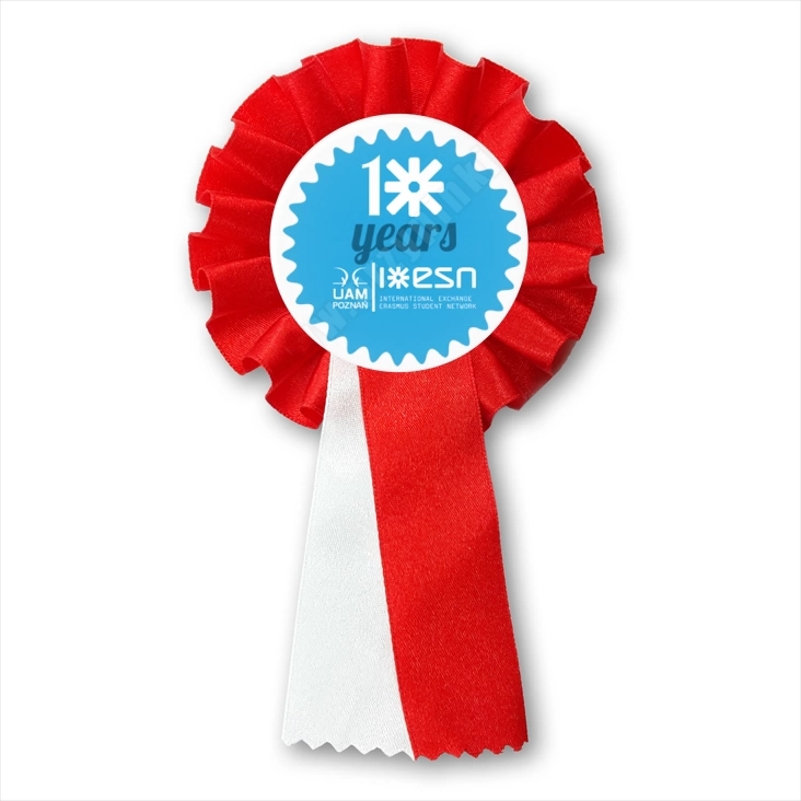 przypinka kotylion 10 lat ESN UAM