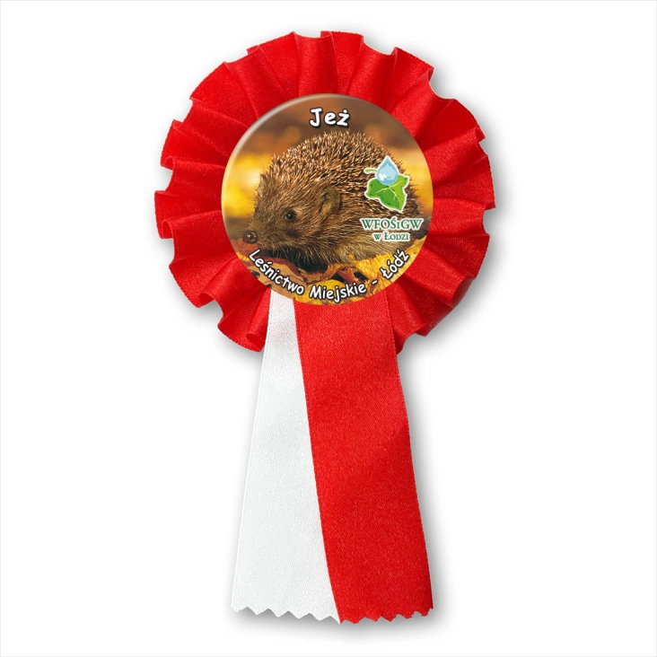 przypinka kotylion Jeż