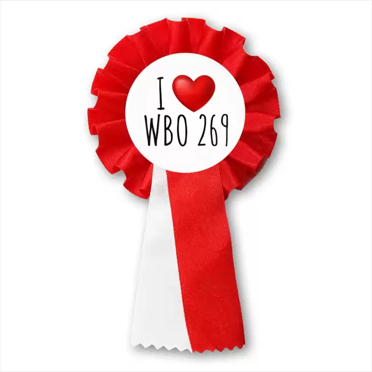 przypinka kotylion I love WBO 269