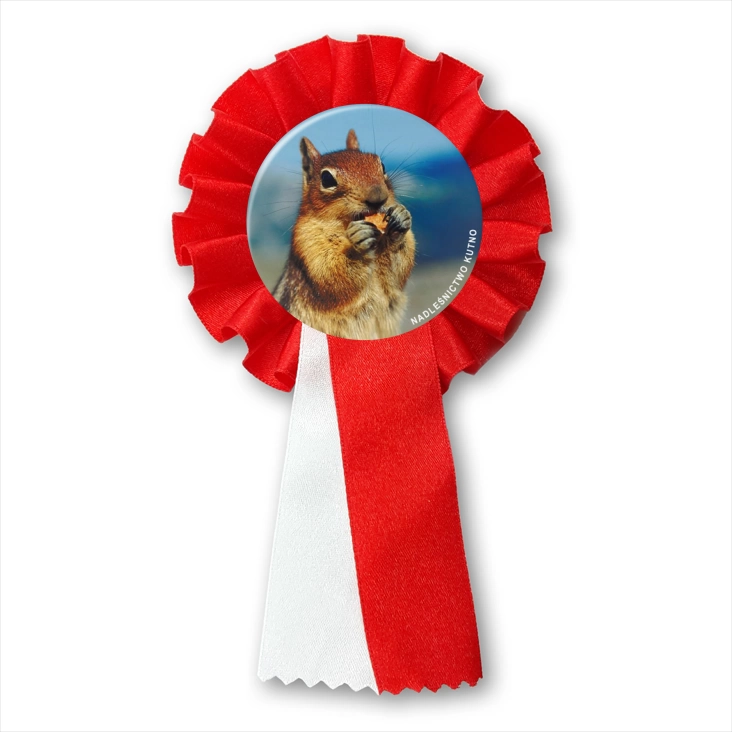 przypinka kotylion Nadleśnictwo Kutno