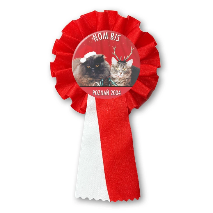 przypinka kotylion Nom Bis