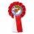 Przypinka kotylion Super świetlik - SP nr 78 we Wrocławiu