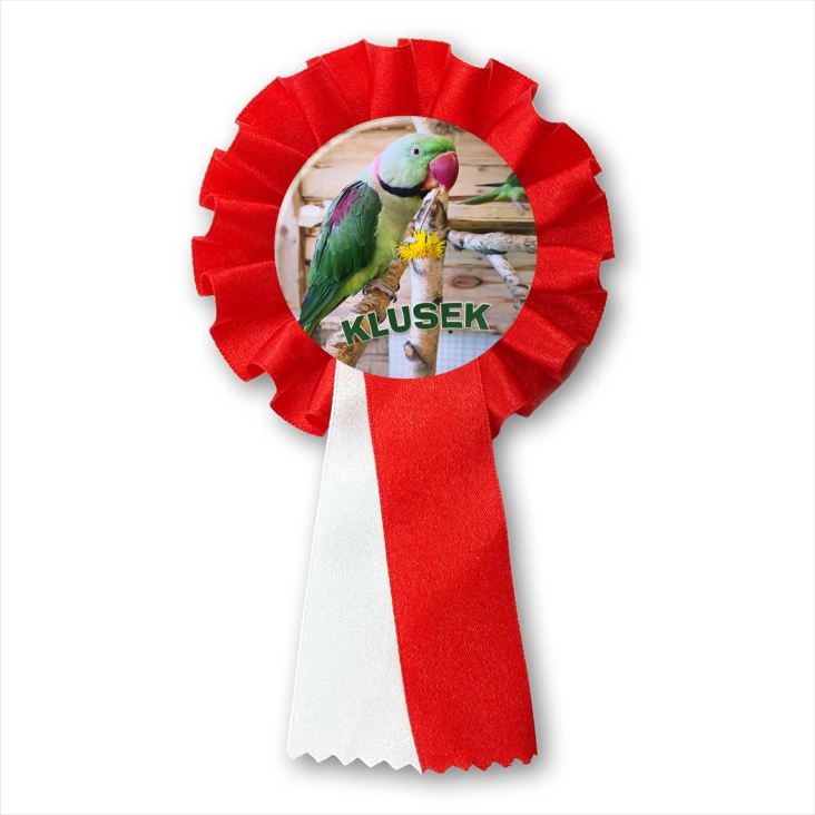przypinka kotylion Klusek
