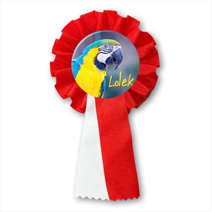 przypinka kotylion Papugarnia Carmen - LOLEK