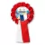 Przypinka kotylion 300 dni do Euro - II Piłkarska Gra Miejska - Francja