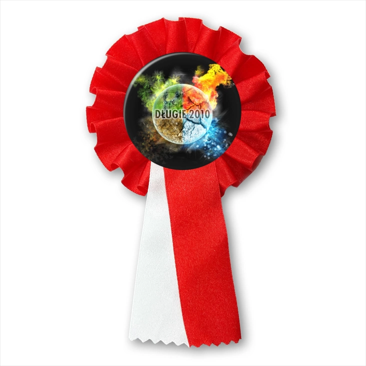 przypinka kotylion Długie 2010