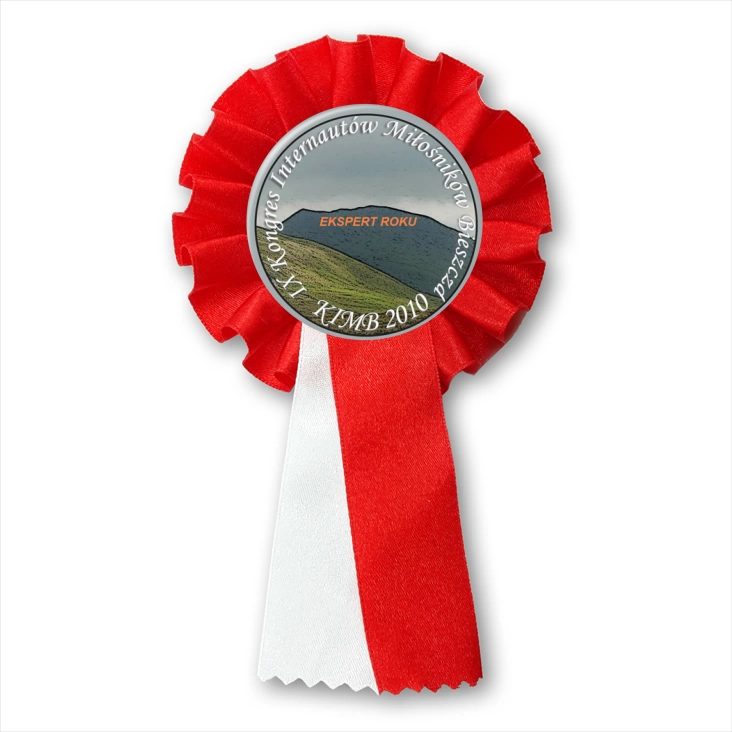 przypinka kotylion KIMB 2010 - ekspert roku