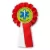 Przypinka kotylion Medicup 2010
