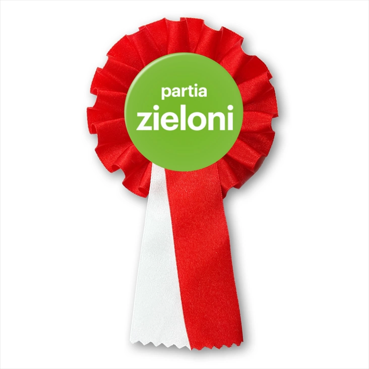 przypinka kotylion Zieloni