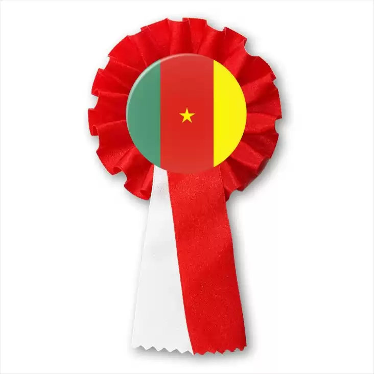przypinka kotylion Flaga Kamerun