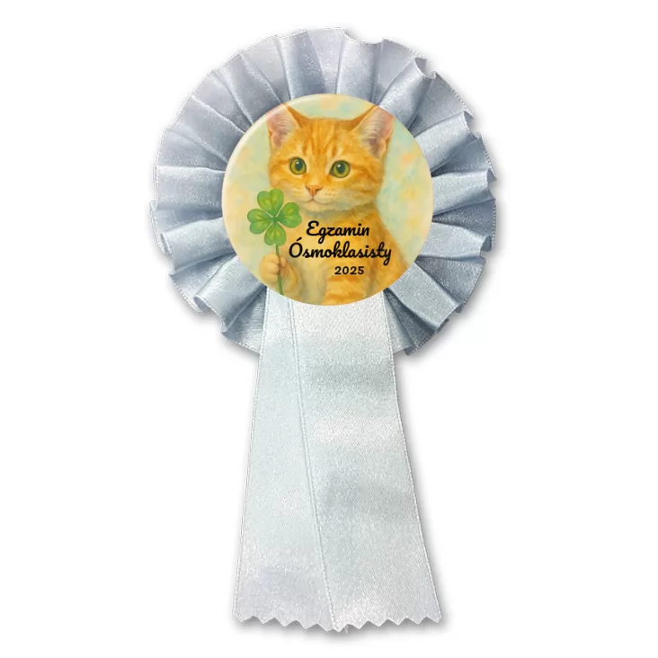 przypinka kotylion Egzamin ósmoklasisty z rudym kotem