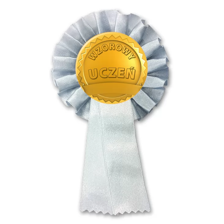 przypinka kotylion Wzorowy uczeń