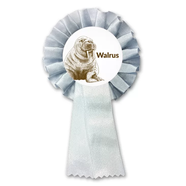 przypinka kotylion Walrus