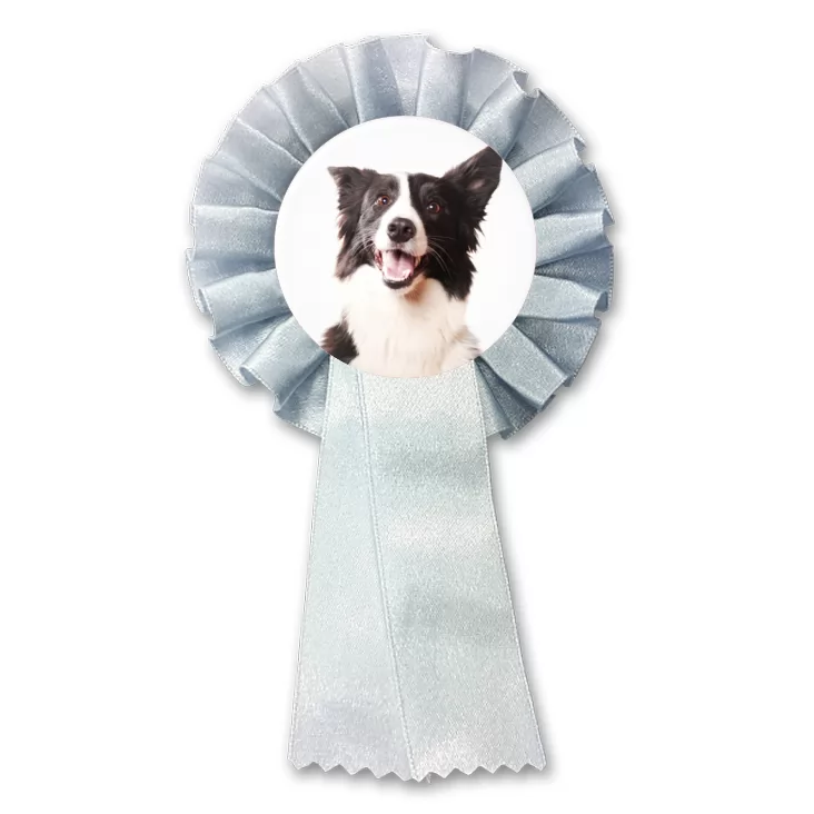 przypinka kotylion Pies Bordercollie