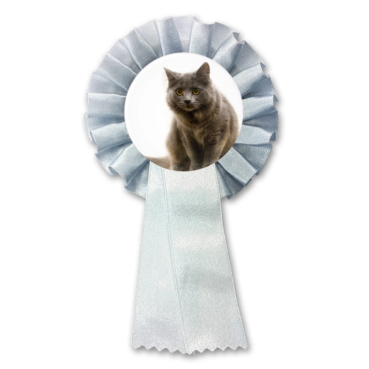 przypinka kotylion Kot