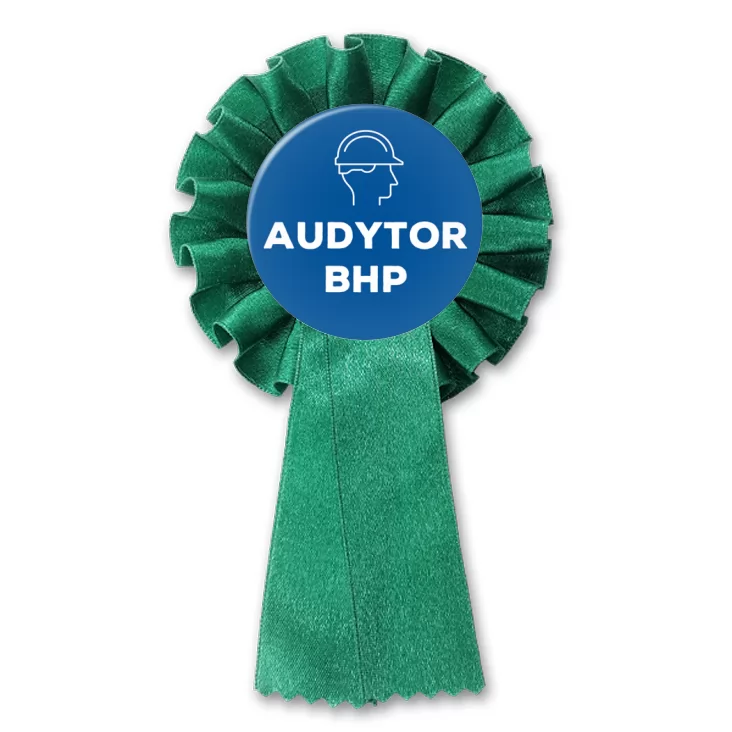 przypinka kotylion Audytor BHP