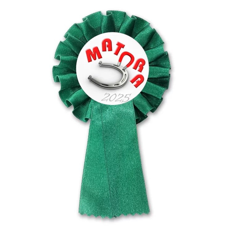 przypinka kotylion Matura podkowa na szczęście